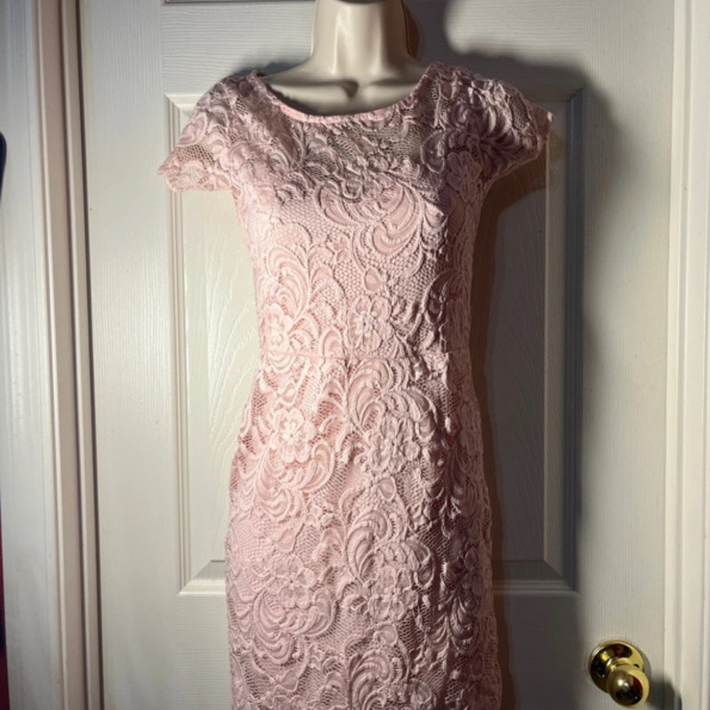 Ambiance Blush Lace Mini Dress